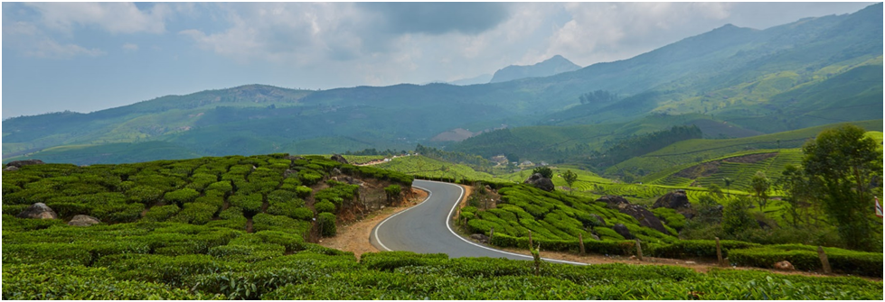 Madurai To Munnar taxi fare